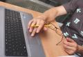 Zdjęcie przedstawia osobę piszącą na klawiaturze laptopa.